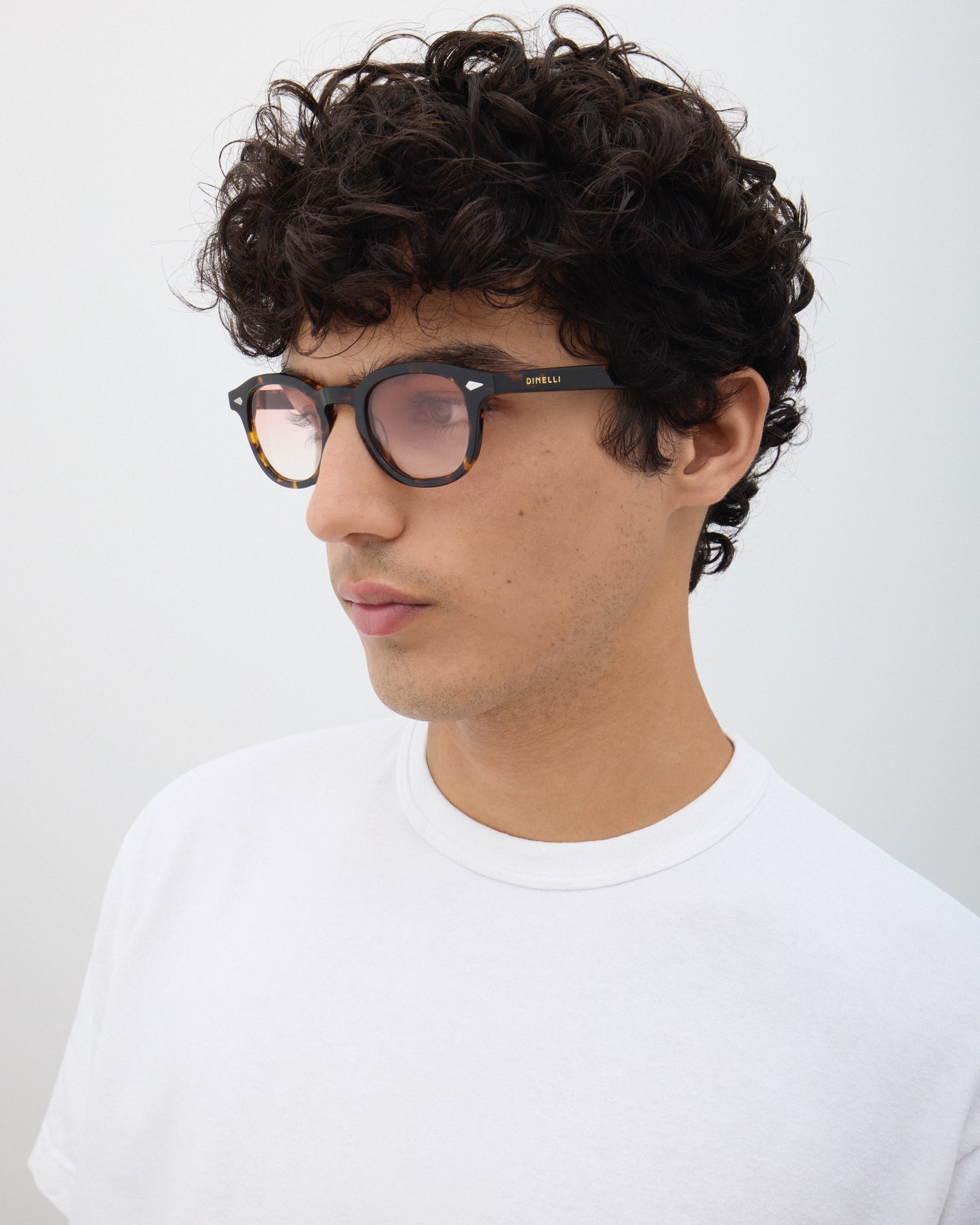 TINT EASTWOOD | TORTOISE GRADIENT ROSE