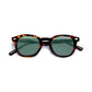 THE TINT EASTWOOD 2.0 | TORTOISE GREEN